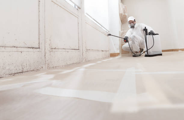 24/7 Emergency Attic Mold Removal experts in Locust Hill, VA